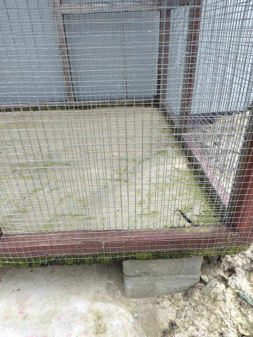 Duża woliera na papugi, 2m x 2m x 1m, z podwójną siatką