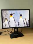 Монітор Dell (2шт) / 24” IPS / Full HD / 60 Гц