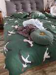 Cama Casal com Colchão