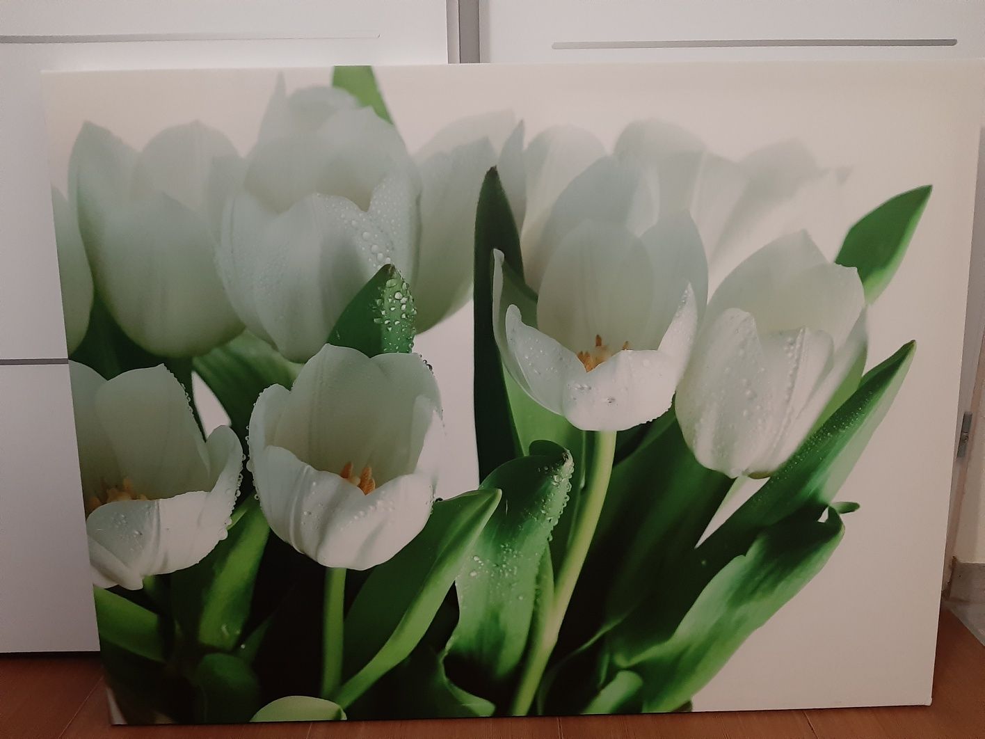 Obraz na płótnie Białe tulipany 113 cm x 85 cm