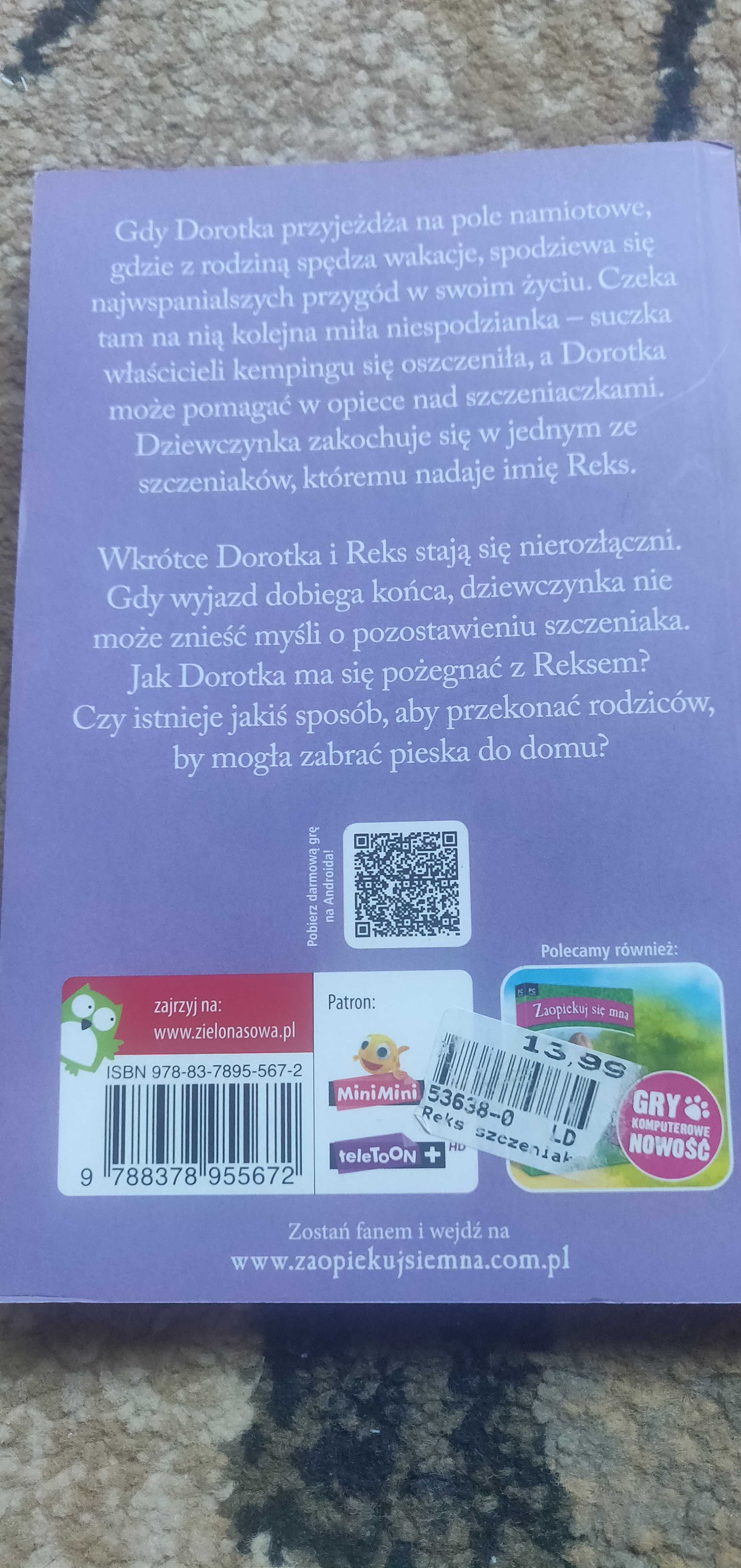 Książka Holly Web seria Zaopiekuj się mną Reks szczeniak z wakacji