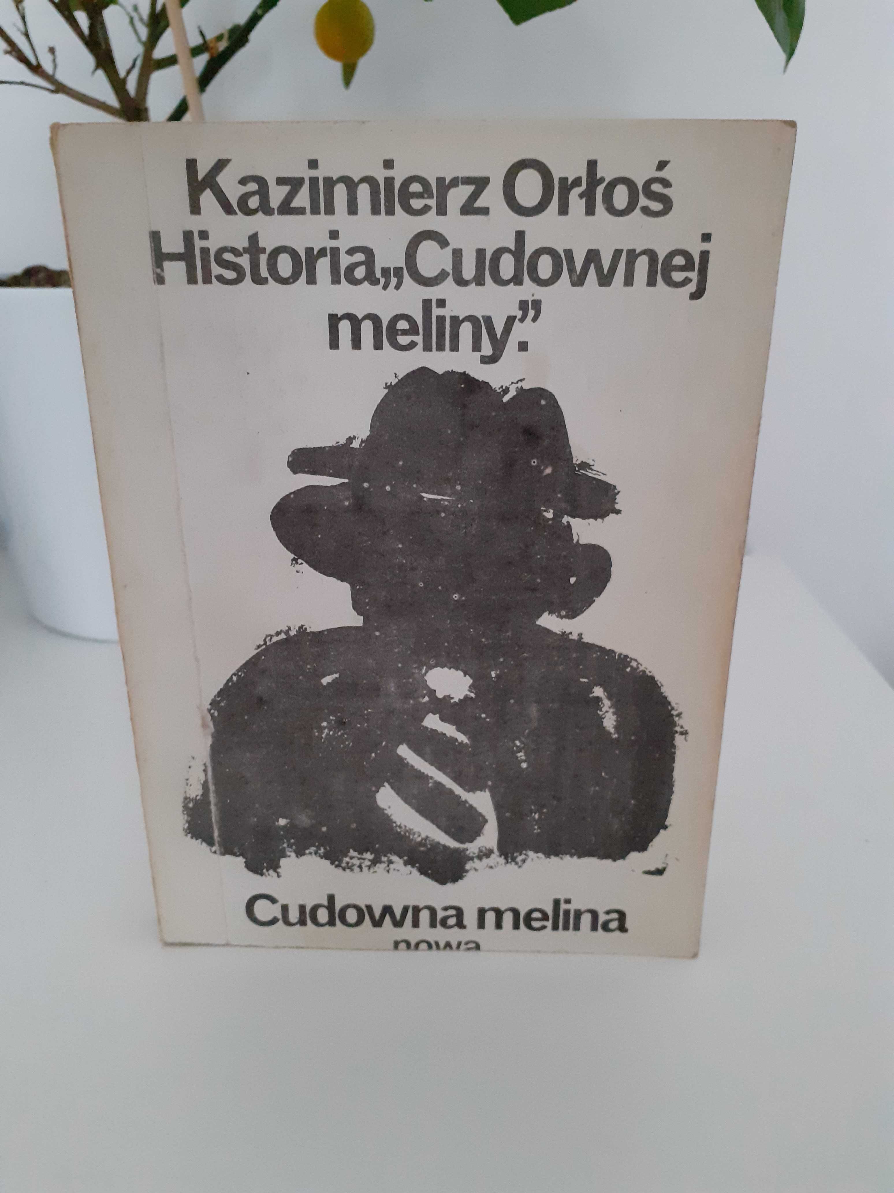 Kazimierz Orłoś "Historia Cudownej meliny". "Cudowna melina"