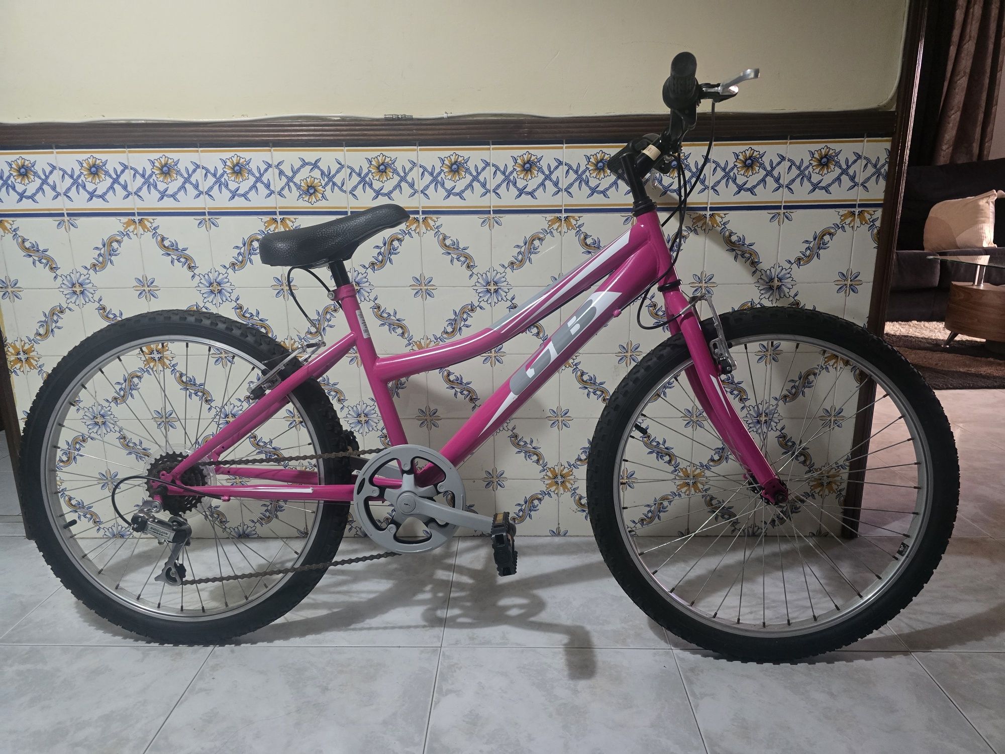 Bicicleta roda 24