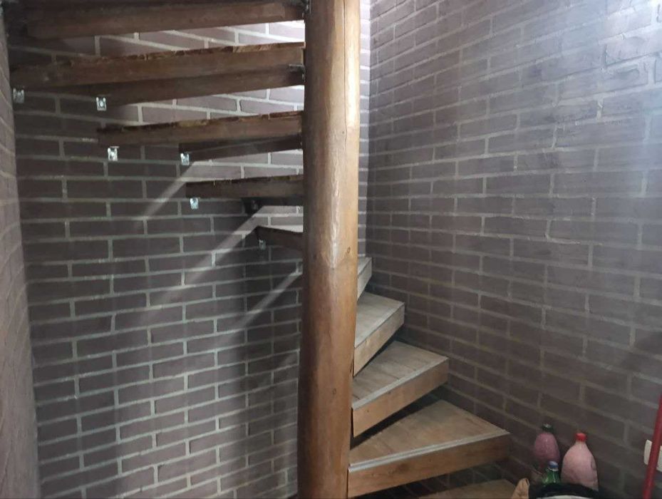 Чустина будинку Щедріна Н