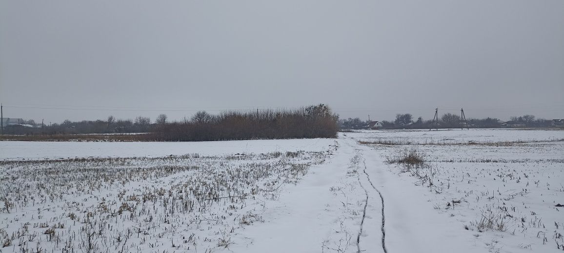 Земельна ділянка 50 сот безкоштовно оренда під вирощування органічної