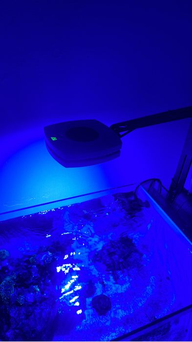 Luminaria agua salgada