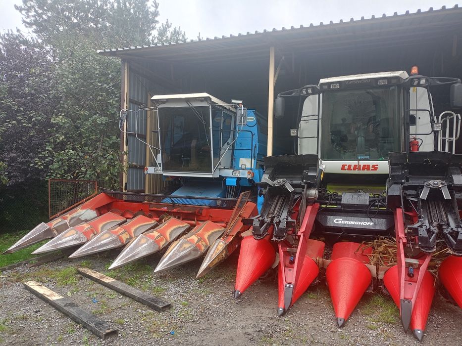 Bizon bs z 110 przystawka fantini w trakcie żniw