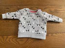 Bluza myszka Miki Disney baby dresowa