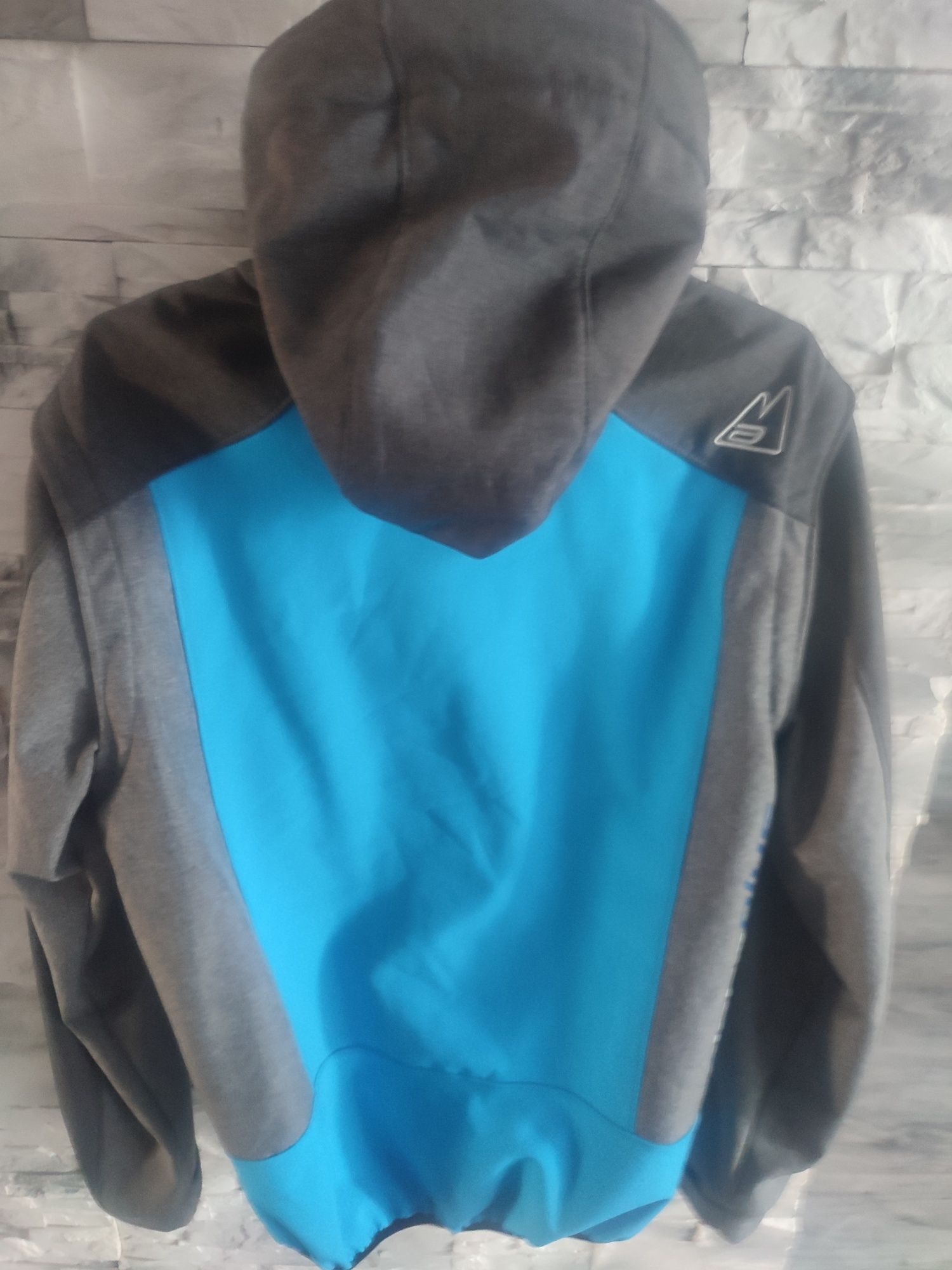 Kurtka męska Alpine Plus