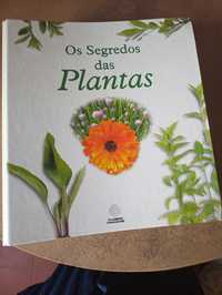 Os segredos das Plantas