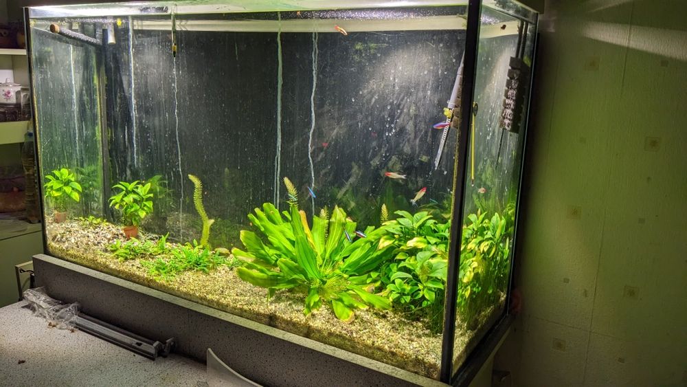 Продам большой аквариум б/у