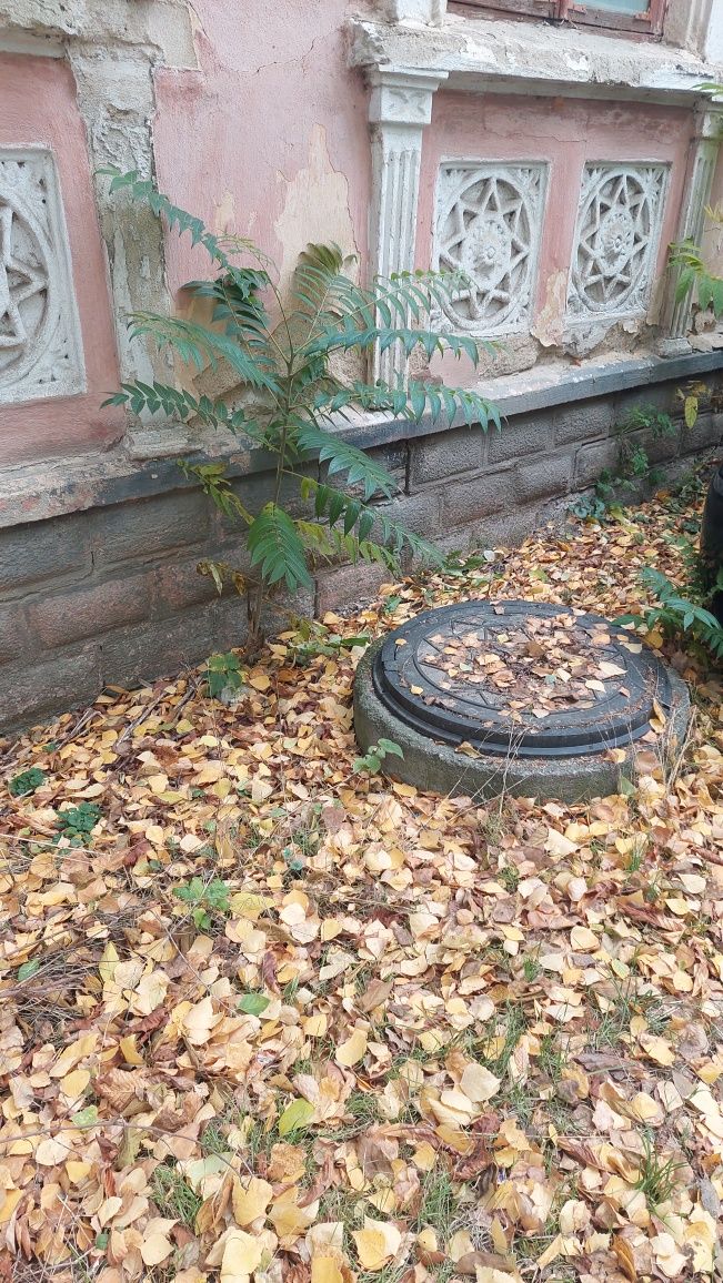 Продам квартири. Вул.Київська,41.