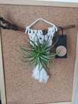 Macrame c/planta tillandsia flor rosa*souvenirs/presente a esgotar