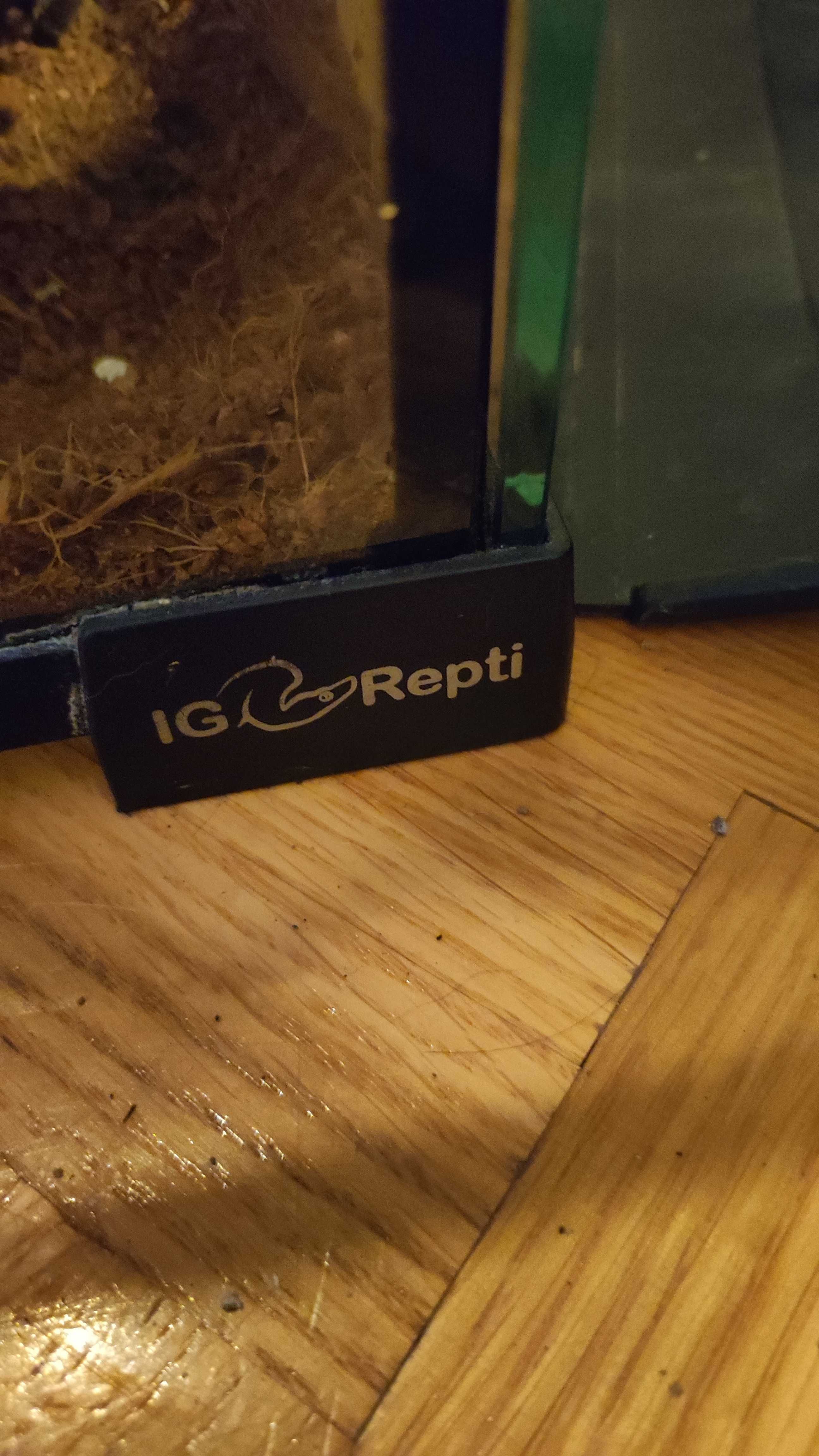Terrarium szklane IG REPTI z wyposażeniem dla kameleona , gekona  itp