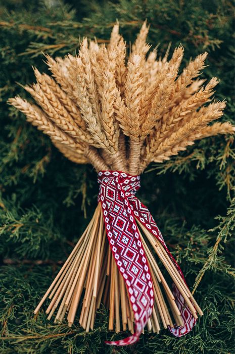 Дідух Ураінський актуальний