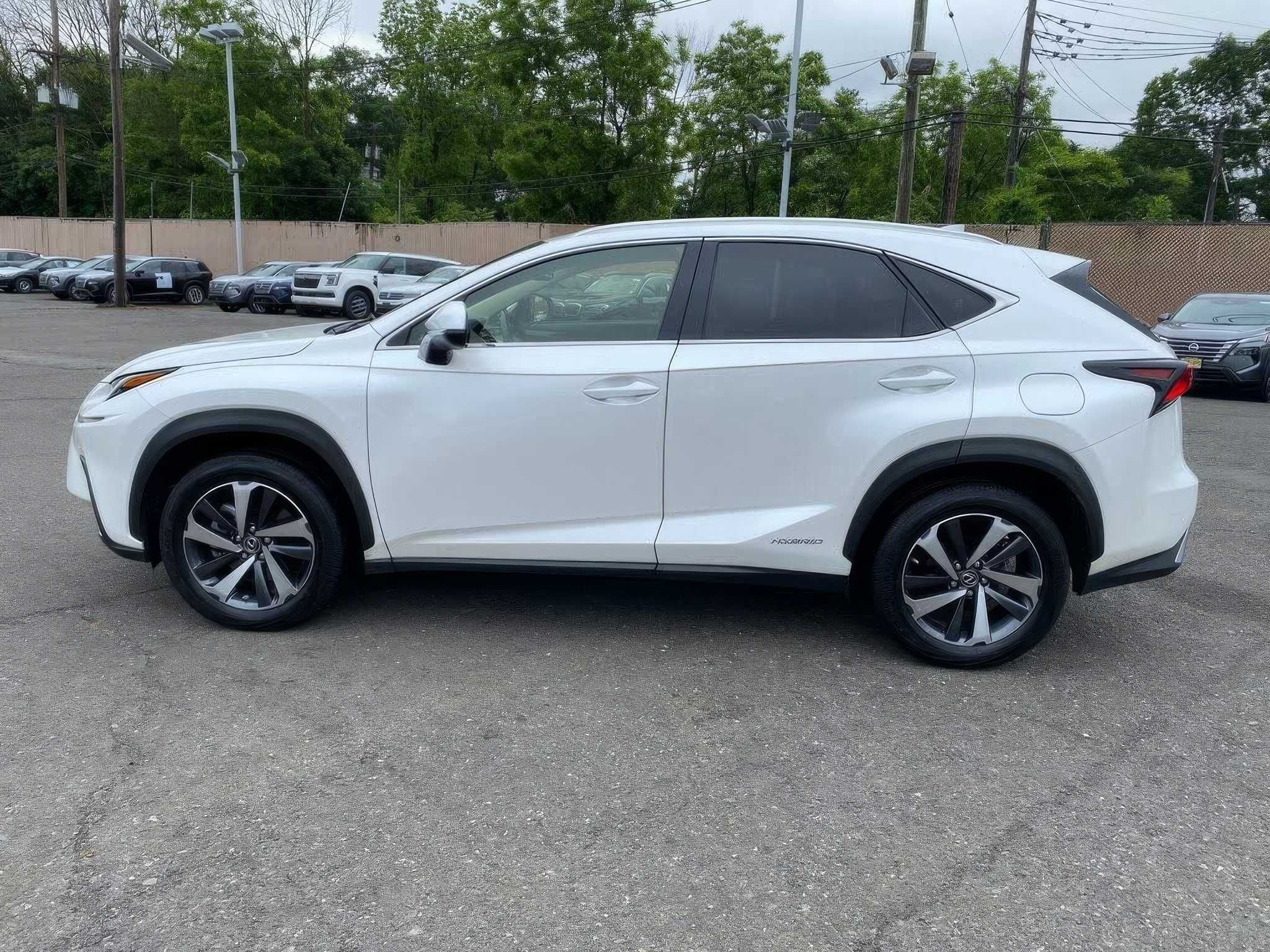 2020 Lexus NX Hybrid 300h
