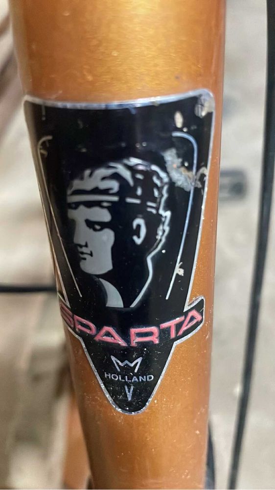 Rower Sparta z koszem