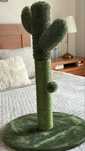 Brinquedo de Gatos