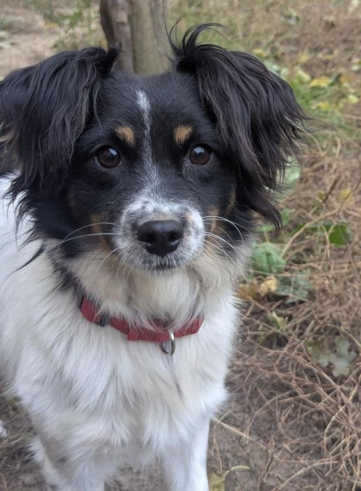 Malutka 5,50 wagi czeka na dom