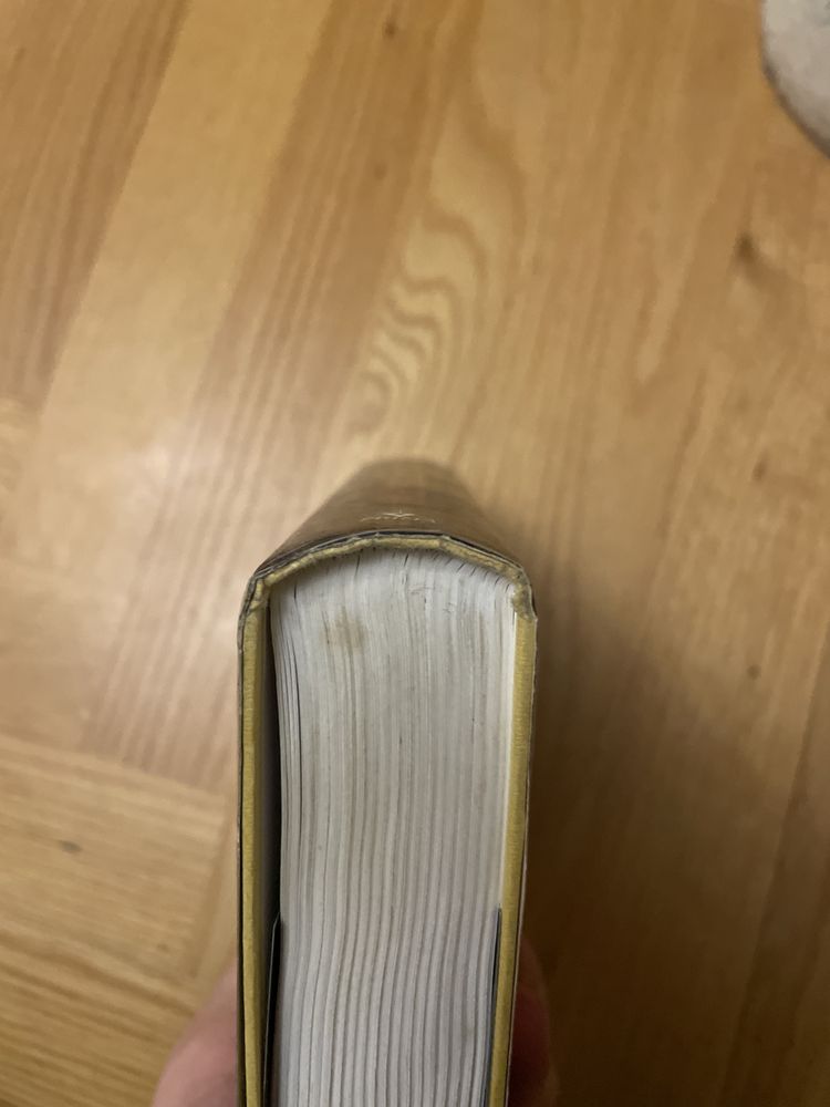 Wilbur Smith - „Drapieżne ptaki”