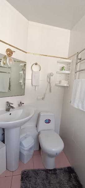 Оренда VIP будинку.Апартаменти.Побутова техніка.Євроремонт.Меблі