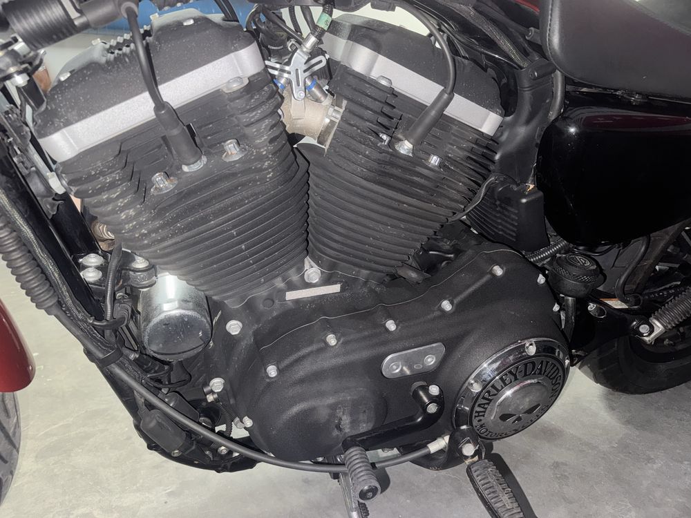 Harley Davidson 883 Iron