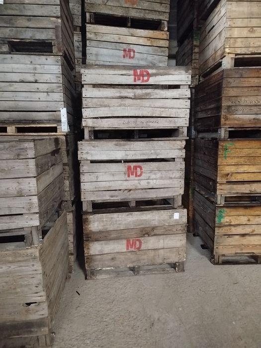 Skrzyniopalety drewniane od 50 do 70 pln