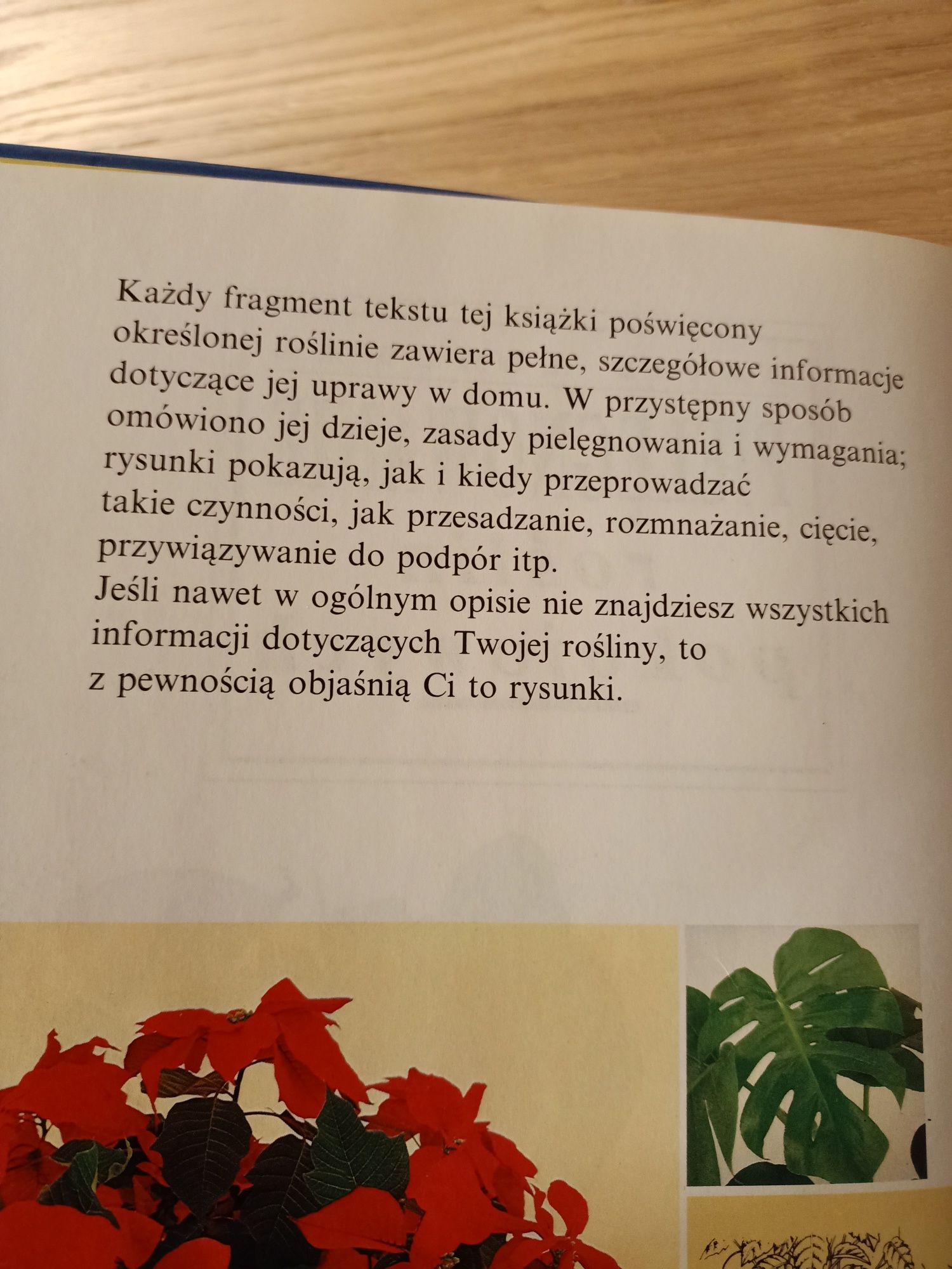 Książka rośliny pokojowe