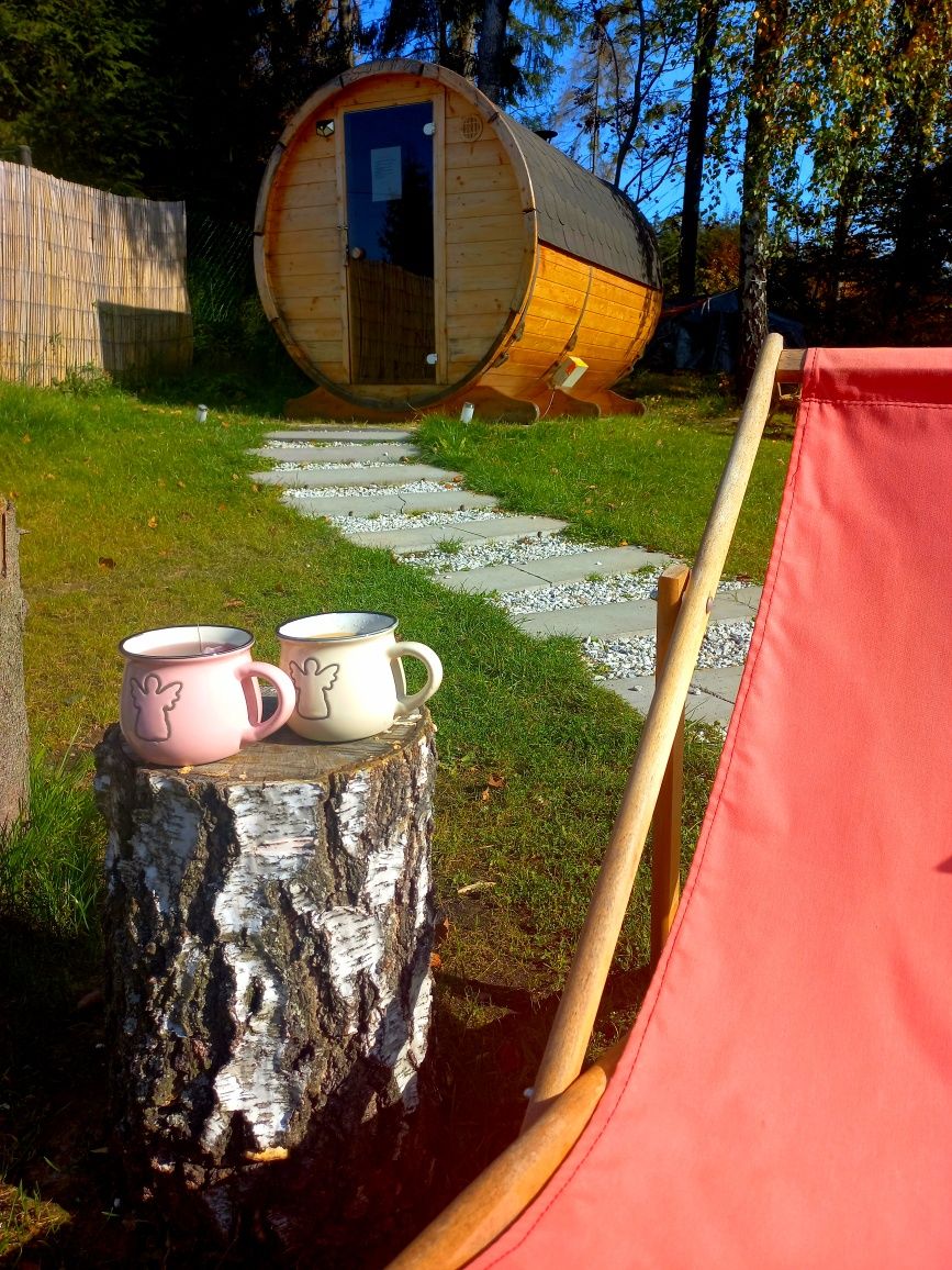 Wakacje w górach-Jagodowy Domek, sauna w cenie