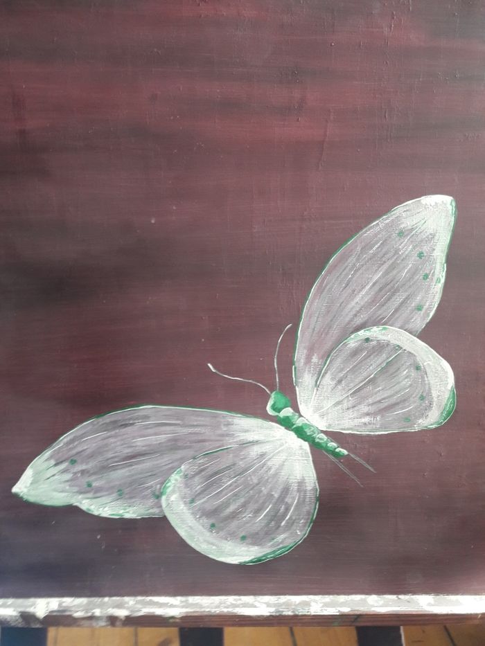 Obraz Motyl 52x47cm