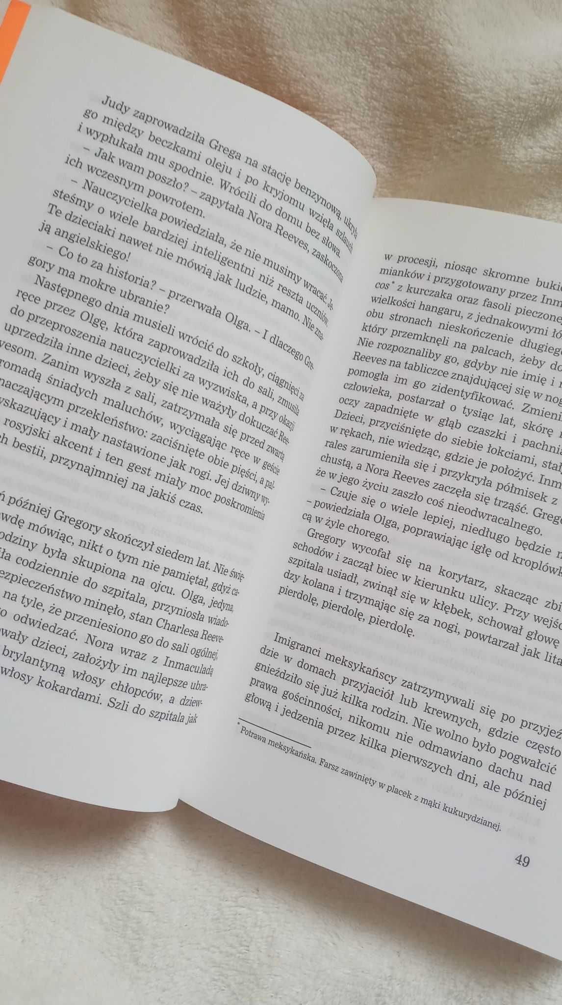 Niezgłębiony zamysł - Isabel Allende