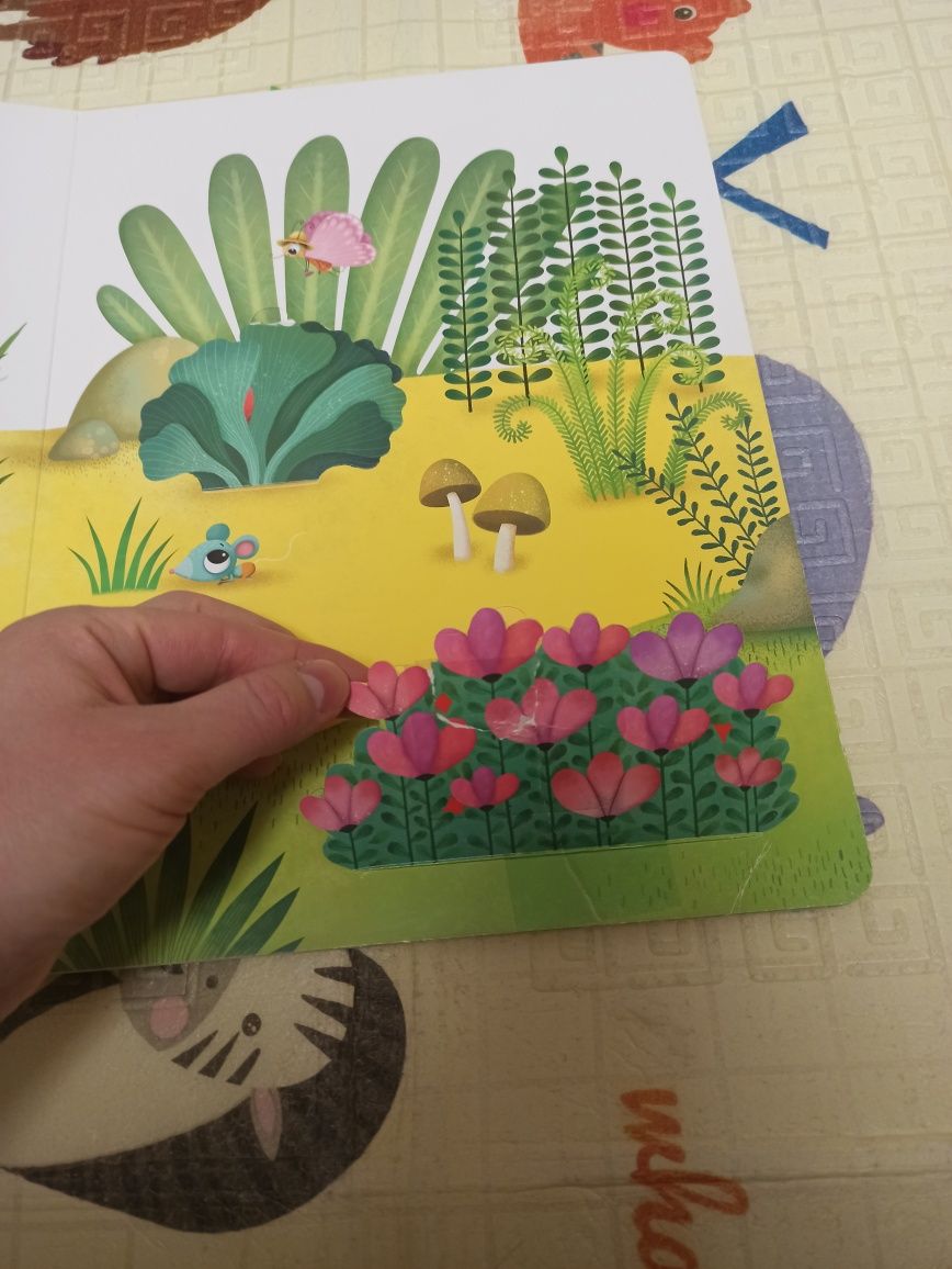 Книжка День Народження у білочки + подарунок