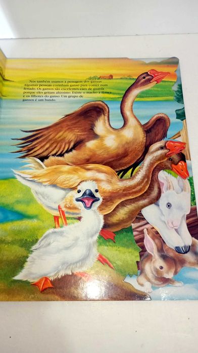 Animais da Quinta - Na Ponta dos Dedos