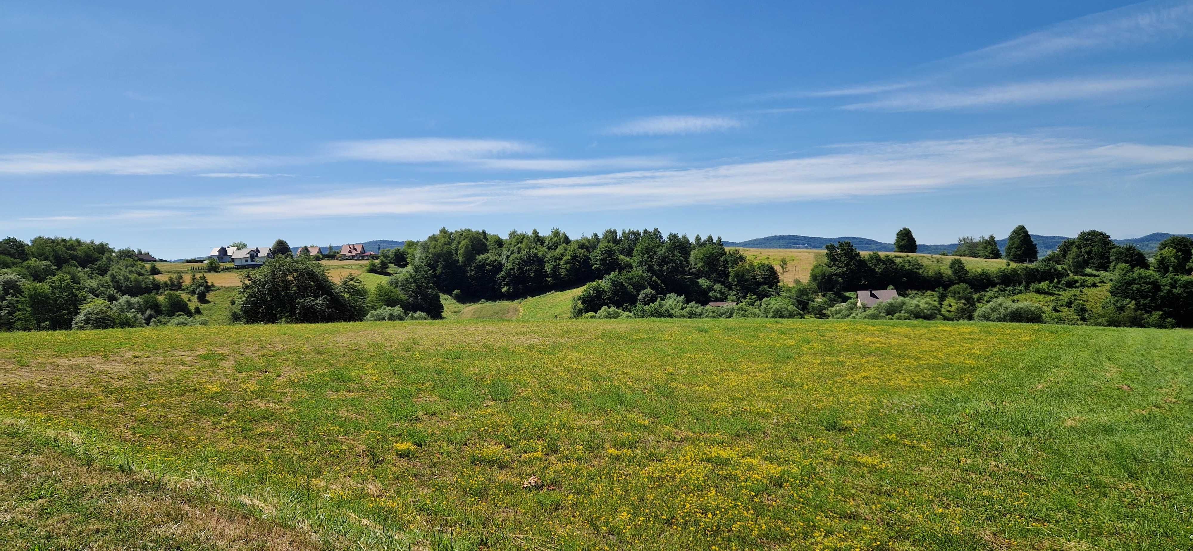 Działka budowlana 24ar, Tuchów, widokowa na wzgórzu (lub 2 x 12ar)