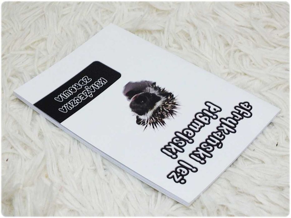 Książeczka Zdrowia Jeż pigmejski Nowa