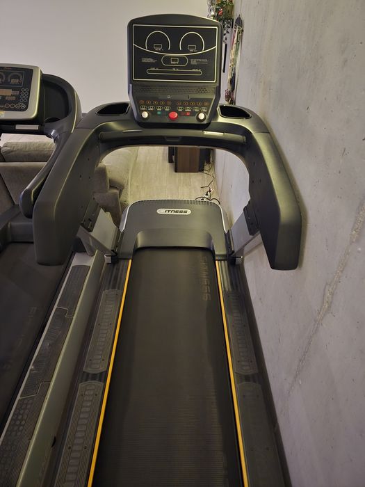 Passadeiras profissionais fitness