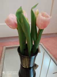 Tulipany gumowe w doniczce różowe