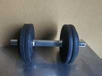 Alter único 10kg