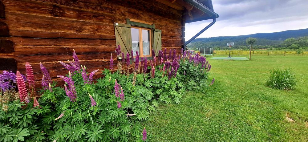 Urlop na odludziu w Domki z Bali Ciche Marzenie Bieszczady