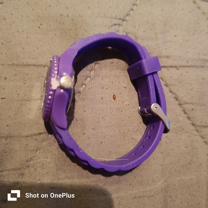 Ice watch forever purple