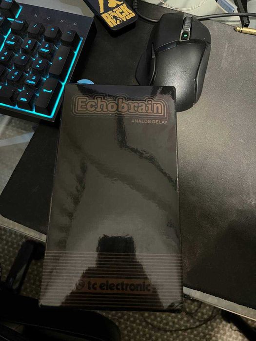 TC Electronic Echobrain Analog Delay