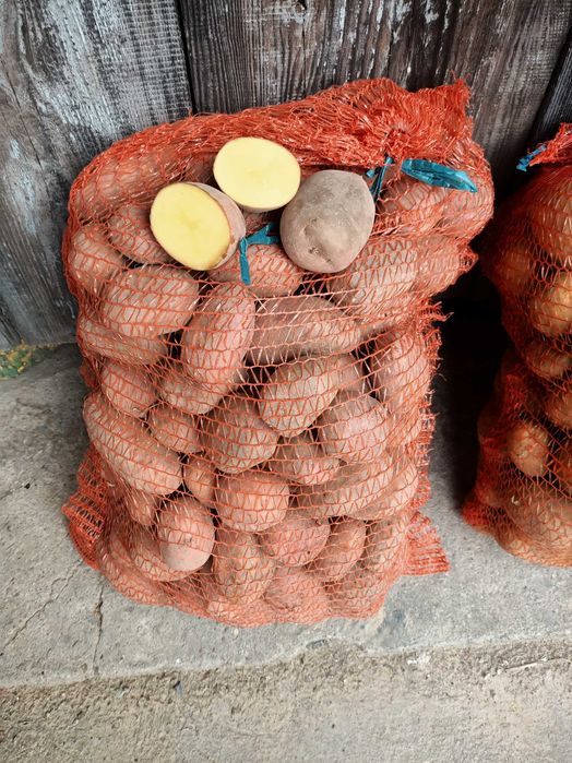 Ziemniaki jadalne Soraya, Lawenda