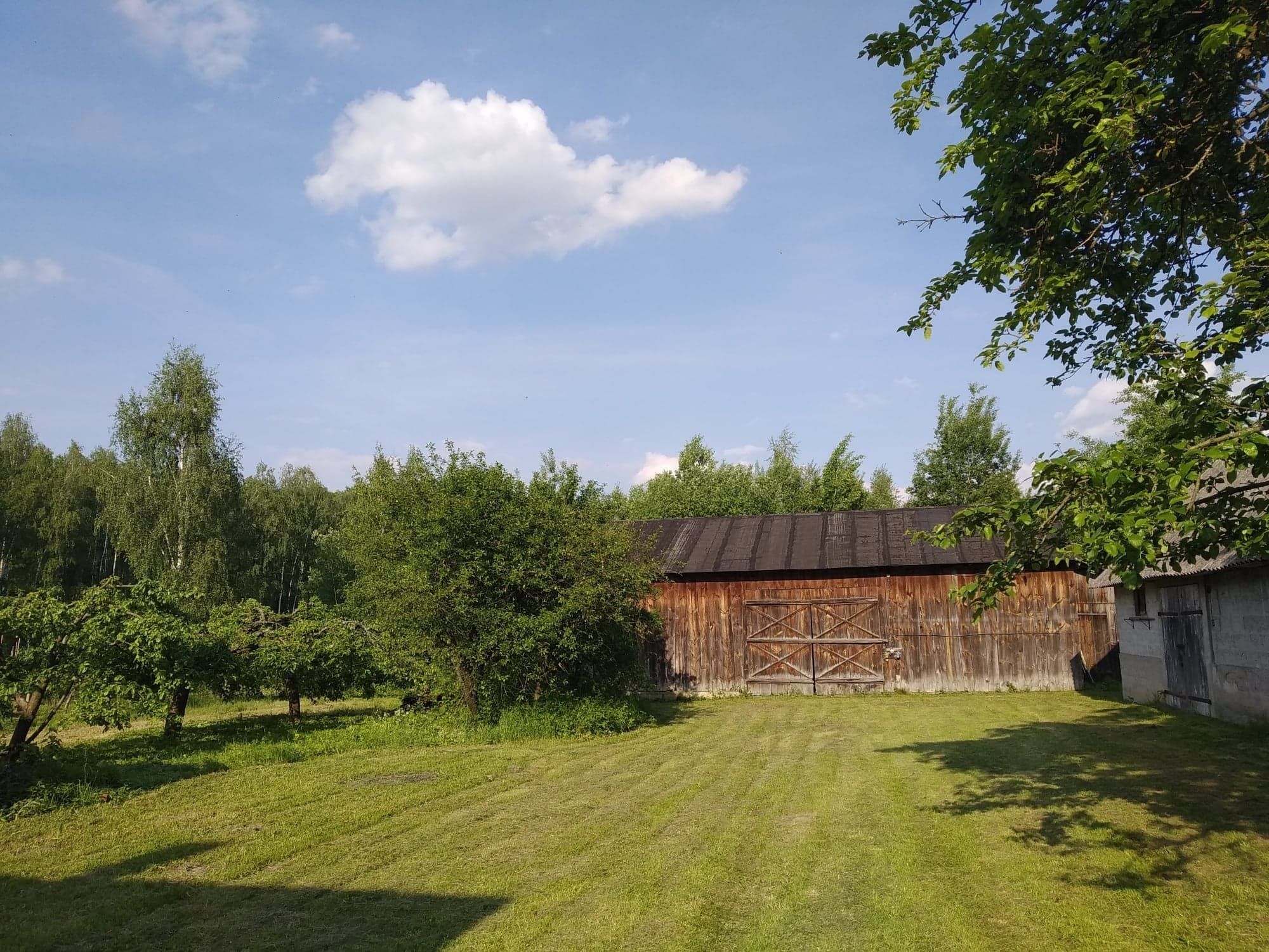 Dom z budynkami gospodarczymi Dąbrowa Kolonia