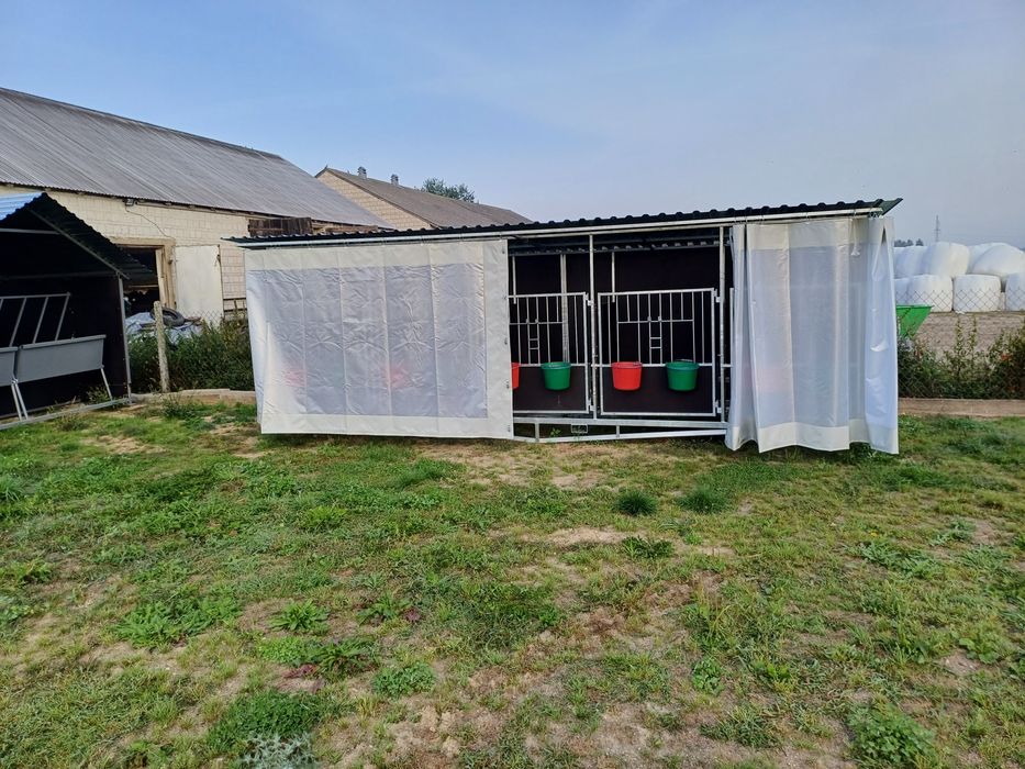 Kojec budka dla cieląt