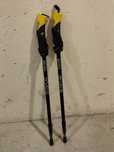 Kijki Nordic Walking trekkingowe teleskopowa Evolution Bosfor