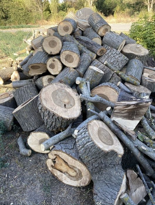 Продам Дрова  сухие