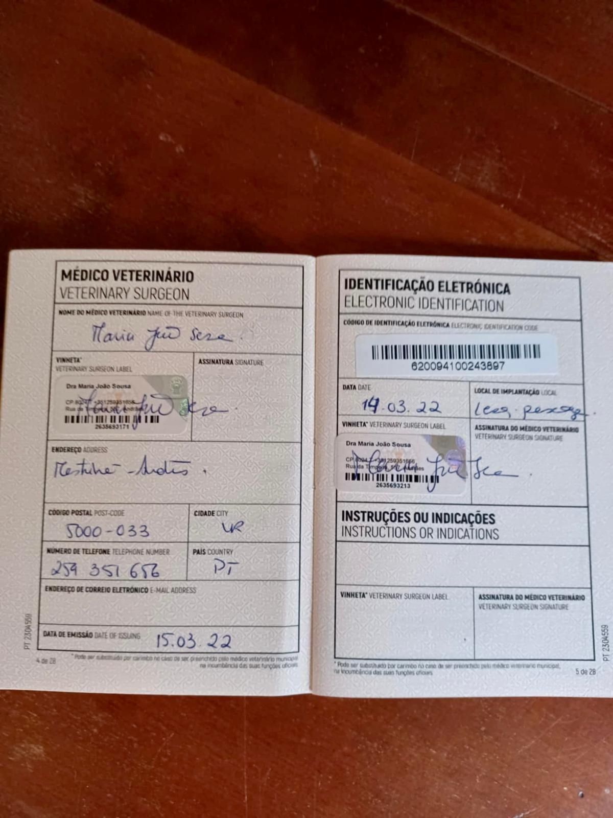 Procuro nova família
