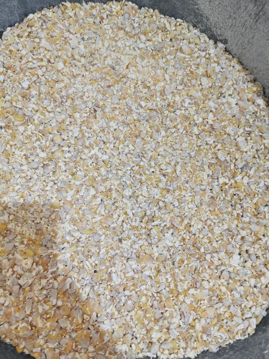 Śruta kukurydziana, kukurydza, pszenica, gnieciona, mielona, śrutowana