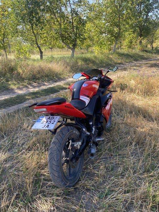 Viper R1 250