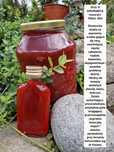Olej z dziurawca 100ml